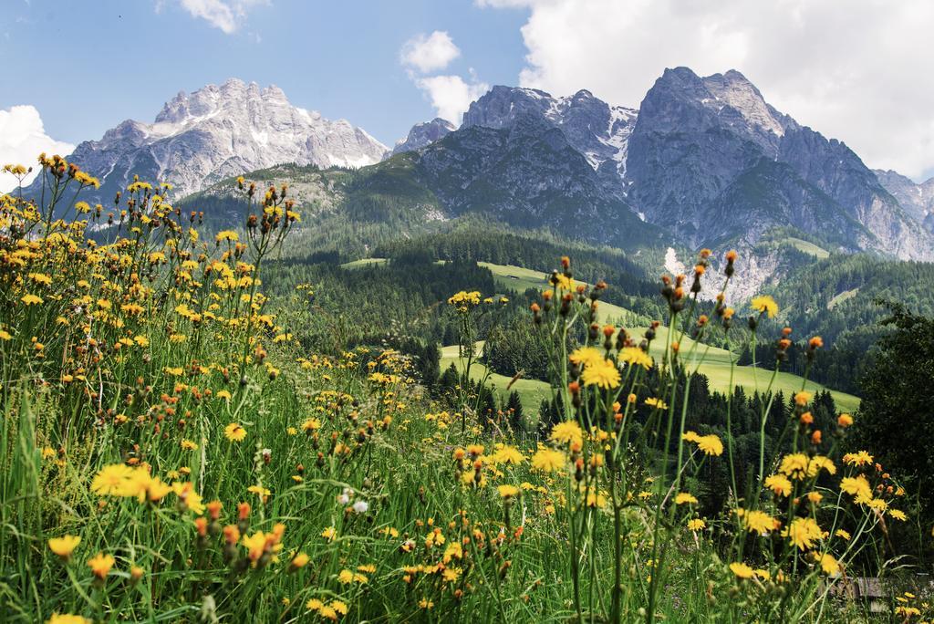 Appartementhaus Salzmann Leogang Esterno foto